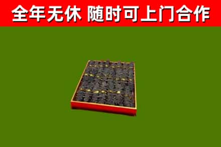 盐城市回收海参